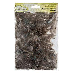 Mr.Painter PLU-01 Перья декоративные 2 - 10 см 5 х 3 г 0.5 г 21 Натуральный фото 3