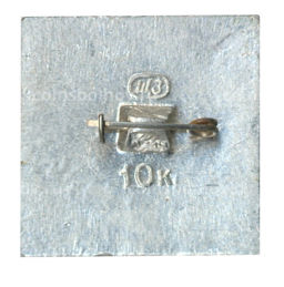 Значок Звенигород