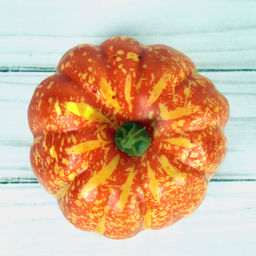 Муляж Тыква 8х9 см / G3317 /уп 160/ - Галеонтрейд фото 8