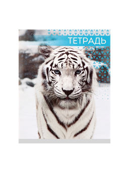Цена за 10 шт. Тетрадь 48 листов в клетку, Calligrata Дикие кошки, МИКС  фото 6