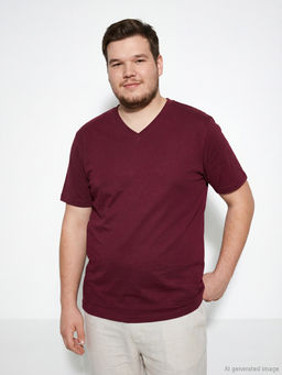 V Yaka Penye Erkek Ti??rt