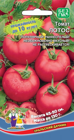 Томат ЛОТОС До 10 кг вкуснейших томатов с каждого метра! Плоды не растрескиваются!