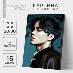 Картина по номерам с подрамником «Корейский мальчик», 20×30 см