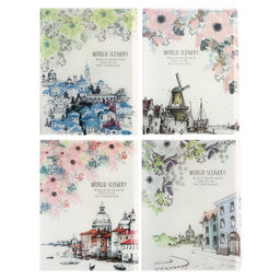 Папка формат А4, с 40 прозрачными файлами Город, МИКС