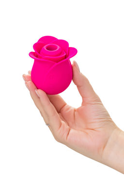 Вакуум-волновой стимулятор клитора Satisfyer Pro 2 Modern Blossom, силикон, розовый, 6,6 см