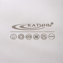 Котёл Катунь «Общепит», 30 л, d=35 см, h=36.5 см, с крышкой, капсульное дно, индукция, нержавеющая сталь, хромированная