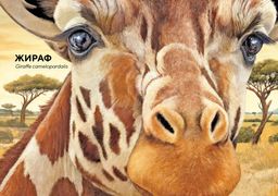 Животные Африки в натуральную величину. Хааг Х. - Махаон фото 3