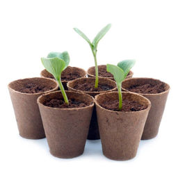 10шт. Горшочек торфяной d80мм h80мм