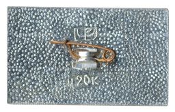 Значок Пермь