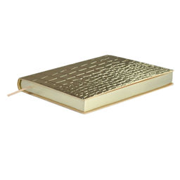 Ежедневник недатированный ESCALADA, А6+, 160 л., арт. 64220/ 20 КРОКО МЕТАЛЛИК ЗОЛОТОЙ  фото 2