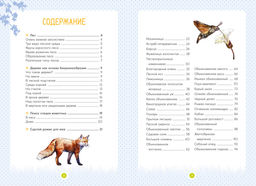 Лесные животные. Жапьо Ксавье - Махаон фото 2