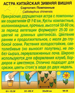 Астра Зимняя вишня помпонная 0,2г (Аэлита)