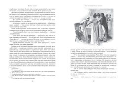 Война и мир (в 2-х книгах) (комплект). Толстой Л. - Азбука фото 3