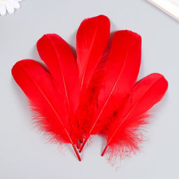 Набор декоративных перьев 160-190 мм (5 шт), красный
