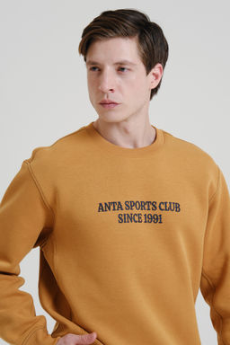 Свитшот Горчичный - Anta фото 3
