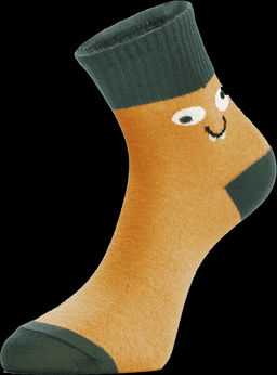 Цена за 2 пары. Носки классические CHOBOT Носки детские 30s-29