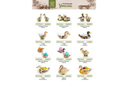 Корзинка сервировочная 1 л 24,2*19*18,3 см Уточка - Elan gallery фото 12