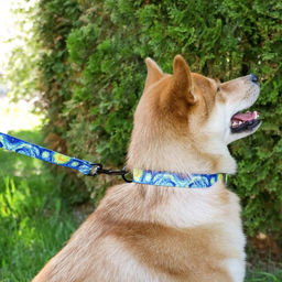 Поводок Искусство, 2.5 см, 1.5 м - Пушистое счастье фото 10