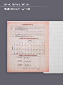 Цена за 10 шт. Тетрадь предметная, 48 листов в клетку Calligrata, Неон. Алгебра фото 2
