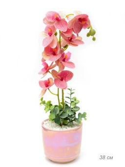 Цветочная композиция Орхидея 38 см / 0213-152 /уп 24/ - Галеонтрейд фото 5