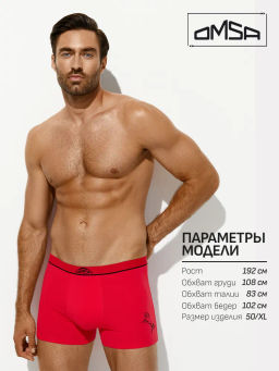 1234-25B New Year (моно лошадь) Боксеры с откр.резинкой (ЧЗ) rosso