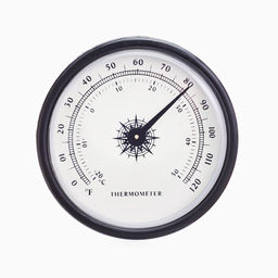 Термометр, d=6.5 см, черный