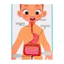 Набор для опытов Как я ем? - Эврики фото 2