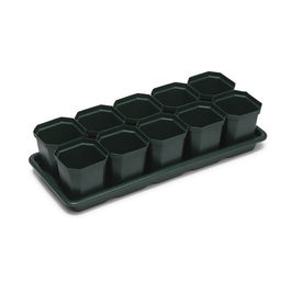 Набор для рассады: стаканы по 300 мл (10 шт.), поддон 41×17 см, цвет МИКС