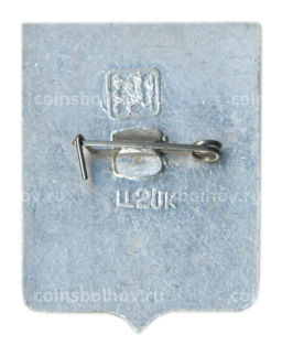 Значок Петропавловск-Камчатский