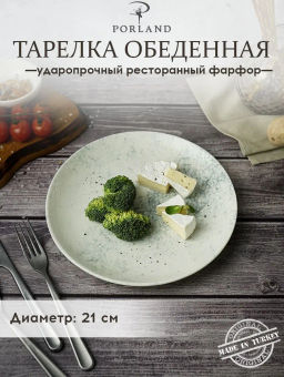 Тарелка обеденная Porland Smoky 21 см, фарфор