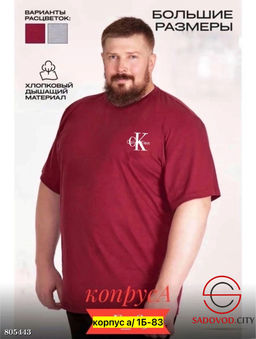 Футболка для мужчин, хлопок - Bruno фото 6