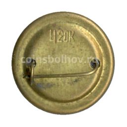 Значок Девочка