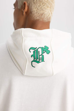DeFactoFit Толстовка стандартного кроя с капюшоном NBA Boston Celtics  фото 7