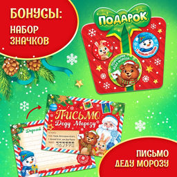 Подарок на Новый год для детей Посылка от Дедушки Мороза, большой новогодний подарочный набор книг 12 шт., письмо деду морозу, адвент - бродилка, значки