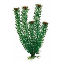 Растение Plant 002 Амбулия зелёная 20 см PLANT 002/20