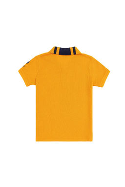 Футболка-поло U.S. Polo Assn Brick для мальчиков хлопок  фото 2