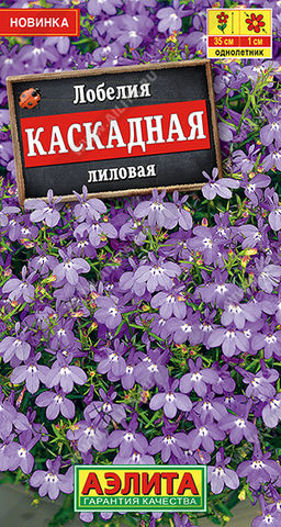 Лобелия каскадная лиловая