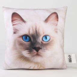 Подушка декоративная антистресс, кот «Рэгдолл»