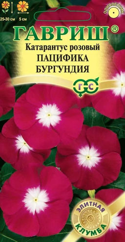Катарантус Пацифика Бургундия 5шт (г)