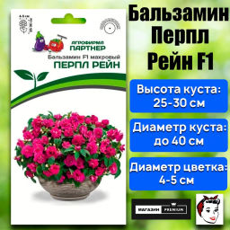 Бальзамин Уоллера махровый Перпл Рейн - Партнер фото 2