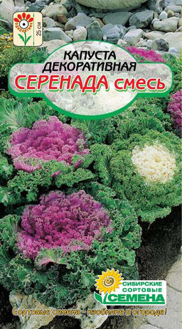 Серенада, смесь капуста декоративная 0,1г (ссс)