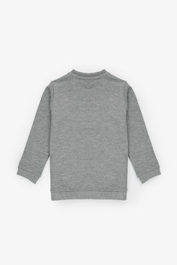 Erkek Bebek Gri Melanj Bisiklet Yaka Basic Sweatshirt