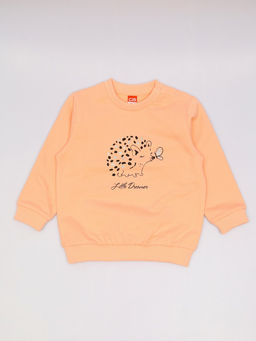 CRB wear / CWBG 64007-47-430 Джемпер для девочки,персик