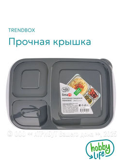 Контейнер пищевой TRENDBOX, серый, 3 секции, с крышкой, прямоугольный - Hobby Life фото 5