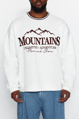 Ekru Buyuk Beden Oversize Nak?sl? Bisiklet Yaka Detayl? Ici Yumusak Pamuk Sweatshirt TMNAW24AO00022 - Trendyolmilla фото 4