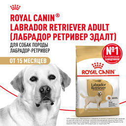 RC Для собак-взрослого Лабрадора: с 15мес. (Labrador Retriever 30) 24870300R1