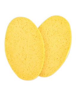 Губка ABSORB+ ECO 2шт 11х19см