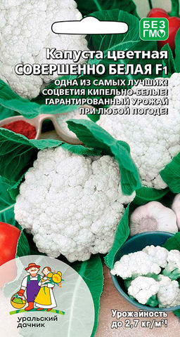 Капуста цветная СОВЕРШЕННО БЕЛАЯ F1  Самая лучшая! Кипельно-белая! Гарантированный урожай при любой погоде!