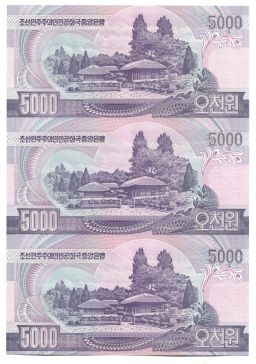 5000 вон 2006 года Северная Корея  Лист из трех банкнот