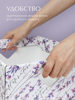 VAL BT-BC-2H Коробка для хранения, 28*28*14 см, набор 2 шт., BOTANIC, шт - Valiant фото 22